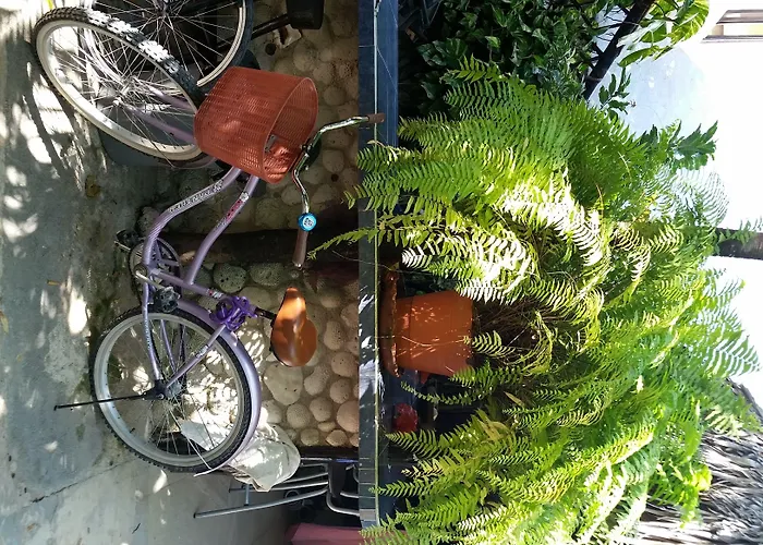 Rancho Tranquilo Tulum