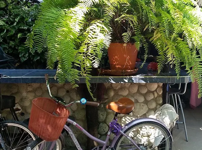 Auberge de jeunesse Rancho Tranquilo Tulum