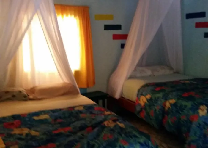 Auberge de jeunesse Rancho Tranquilo